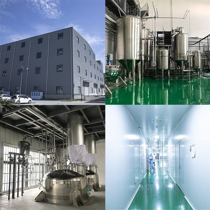 Purple Sweet Potato Extract suppliers